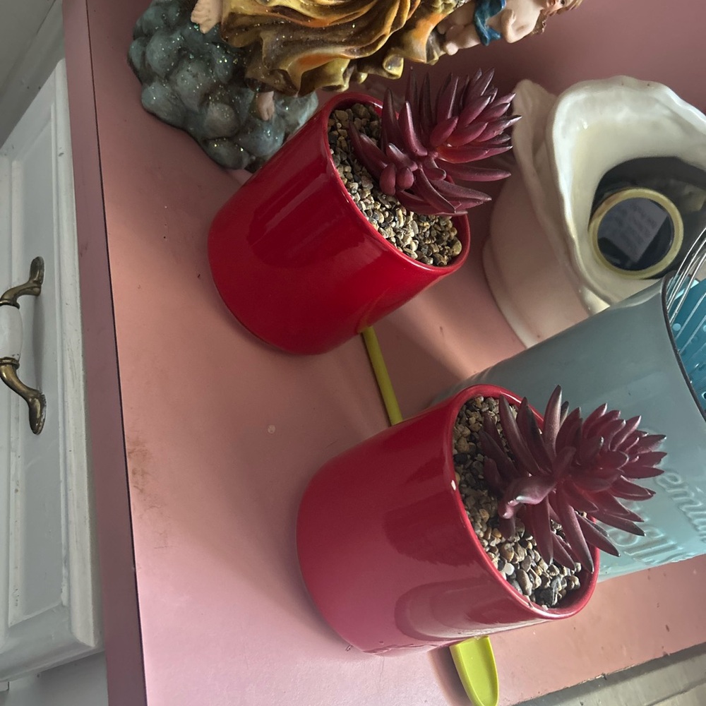 Red Succulent Planter Set